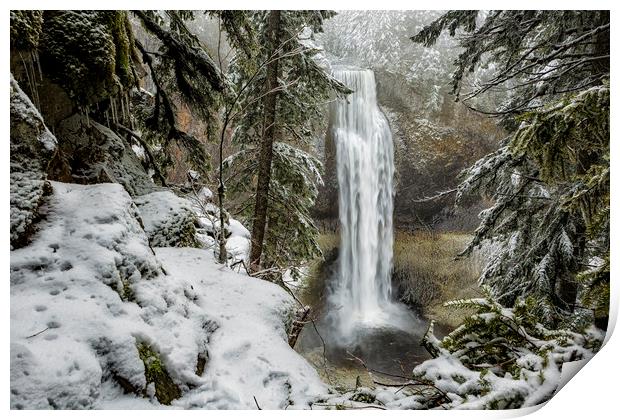 Salt Creek Falls, Another View Print by Belinda Greb