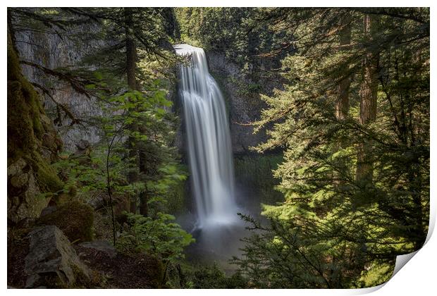 Salt Creek Falls, Late Spring Print by Belinda Greb