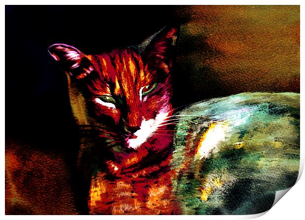 Lucifer Sam Tiger Cat Print by Martin Howard
