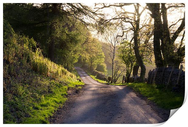 Sleepy Lane Print by Simon Sayers