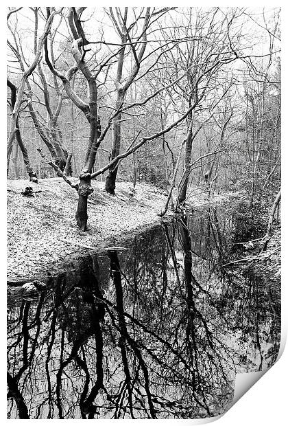 Joydens Wood in Winter Print by Richard Cruttwell