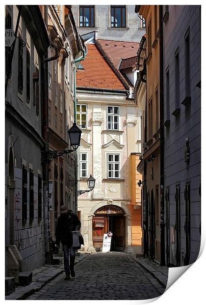 Bratislava, Slovakia Print by Richard Cruttwell
