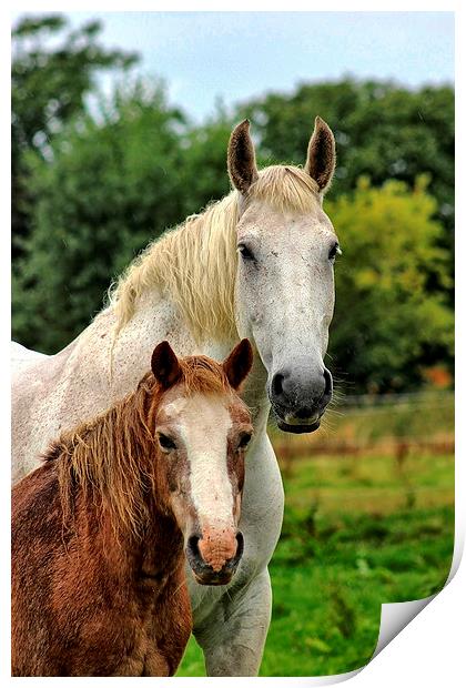 Little and Large Print by Richard Cruttwell