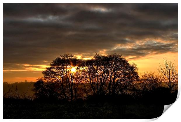 Sunrise Through Trees Print by Richard Cruttwell