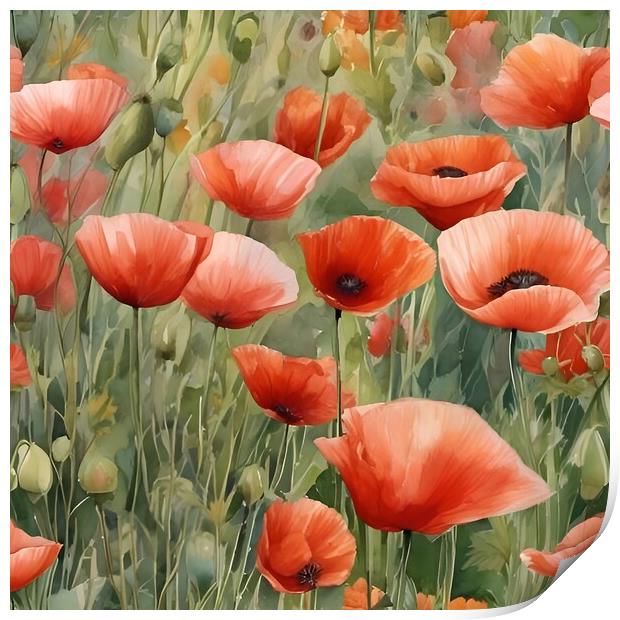 Poppies in a field Print by Scott Anderson
