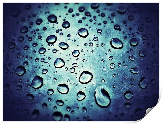 Rain Drops Print by Scott Anderson