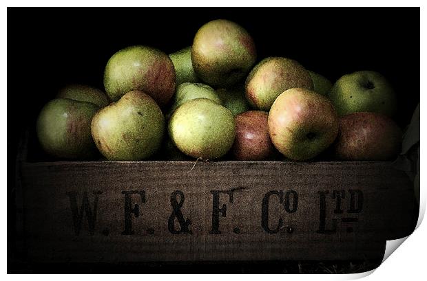 Apple Crate Print by Scott Anderson