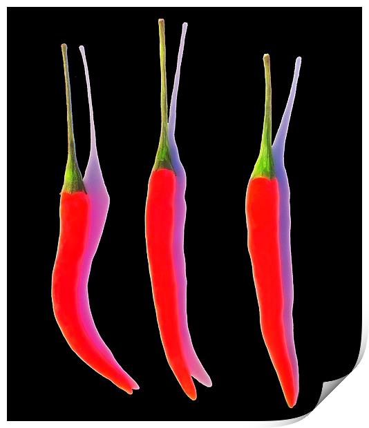 Red Hot Chili Pepper Print by Scott Anderson
