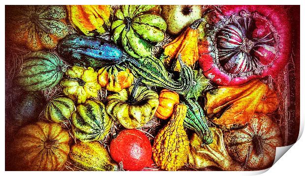 Gourds and pumpkins Print by Scott Anderson