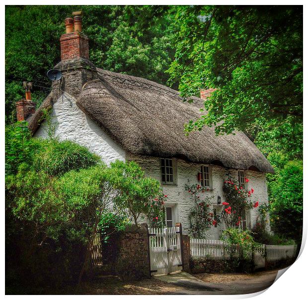 Dorset Cottage Print by Scott Anderson