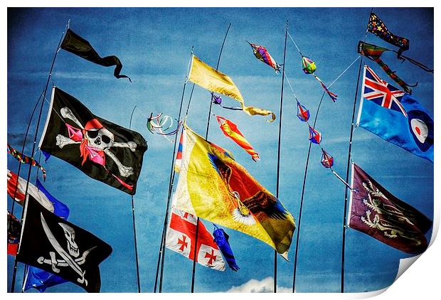 Flags Print by Scott Anderson