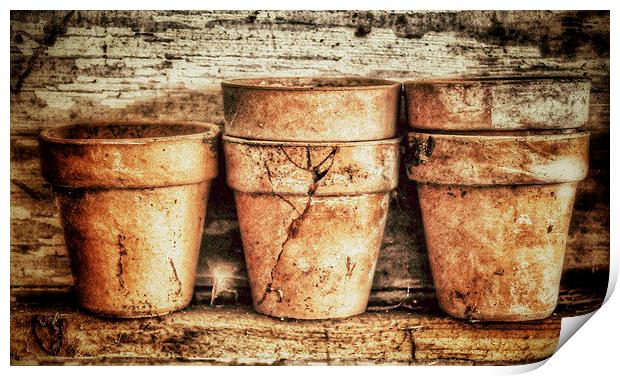 Three Flower Pots Print by Scott Anderson