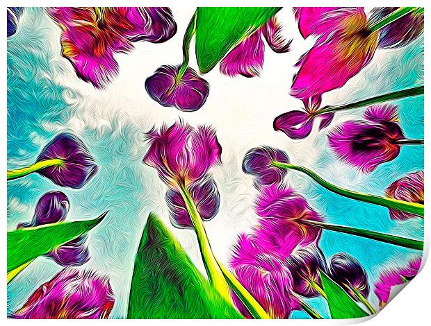 Feathered Tulips Print by Scott Anderson