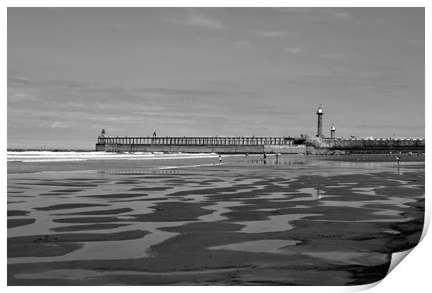 Whitby Pier and Tide Pools Print by Dan Ward