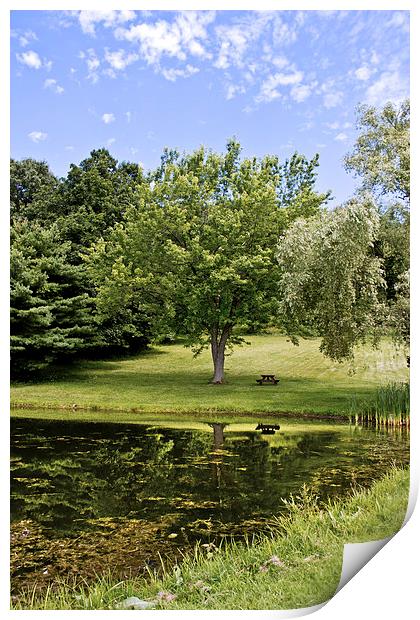  Perfect Spot For A Picnic Print by Tom and Dawn Gari