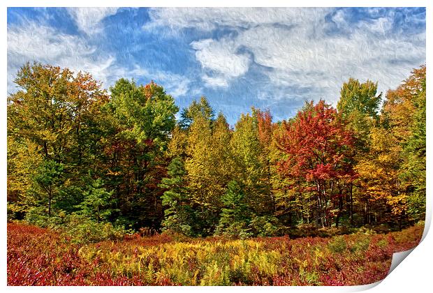  Painted Trees Of Fall Print by Tom and Dawn Gari