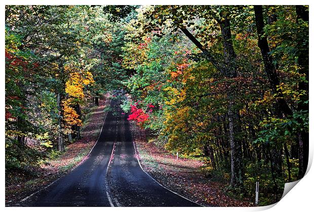  Fall Colors Of Skyline Drive Print by Tom and Dawn Gari