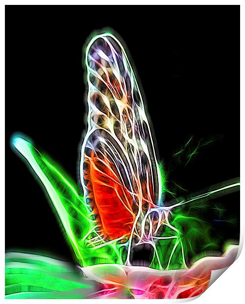 Electric Butterfly  Print by Tom and Dawn Gari