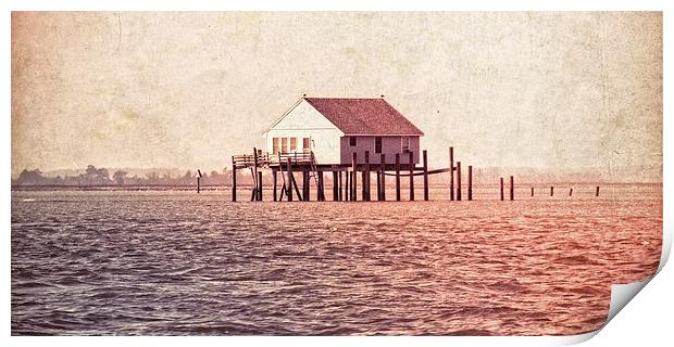  House in the Water Print by Tom and Dawn Gari