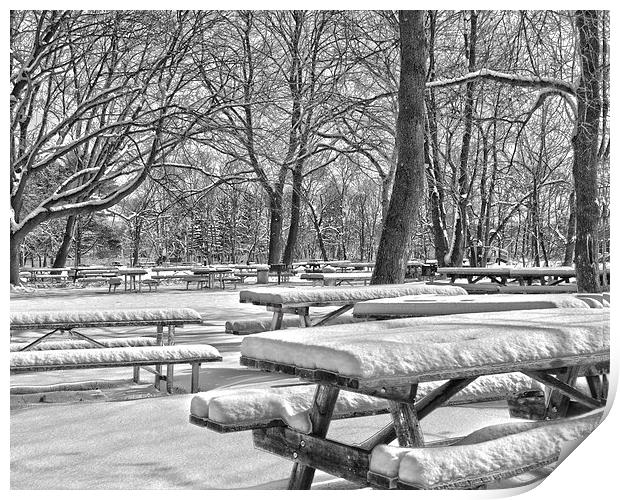  Picnic Tables In The Snow Print by Tom and Dawn Gari