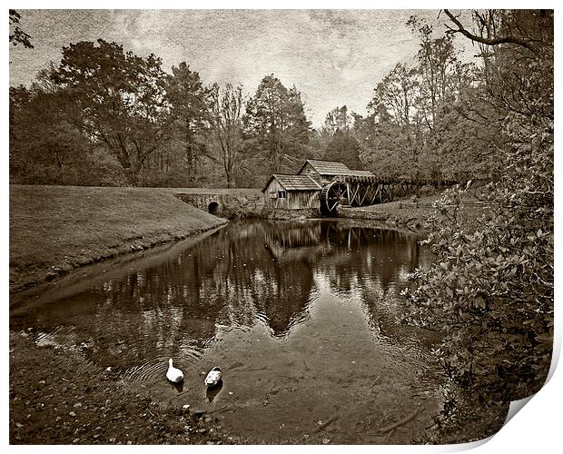  Mabry Mill in Black and White Print by Tom and Dawn Gari