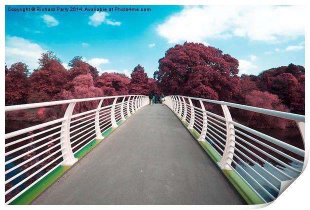  Cardiff Bridge Infra Red Print by Richard Parry