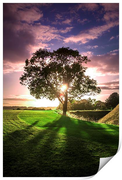 lucidimages-old-sarum-sunset-tree Print by Raymond  Morrison