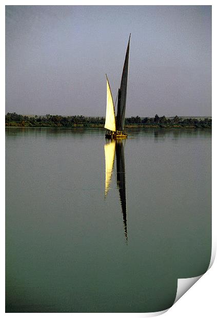 JST2412 Felucca on the Nile Print by Jim Tampin