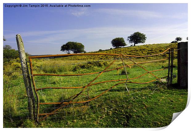 JST3072 The Old farm gate Print by Jim Tampin