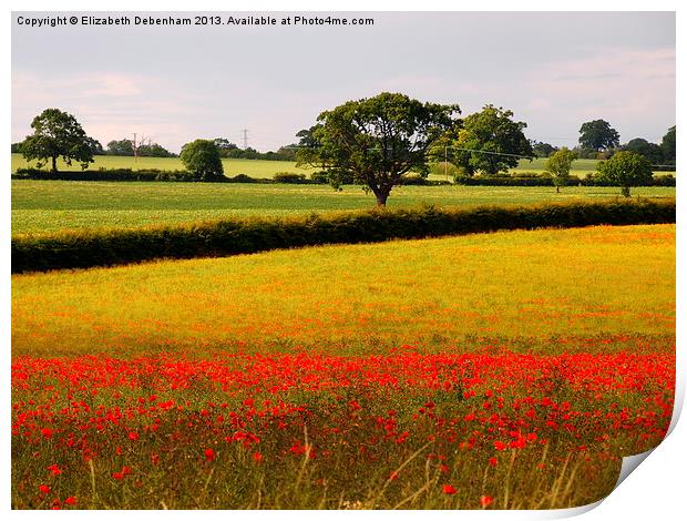 Red Poppies and Green Fields Print by Elizabeth Debenham