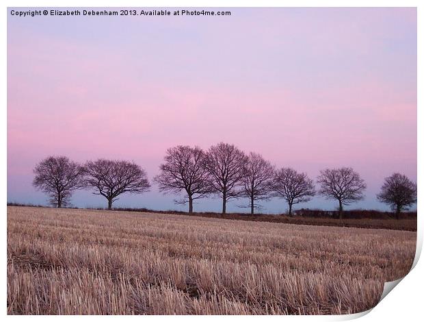 Pastel Treeline in February Print by Elizabeth Debenham