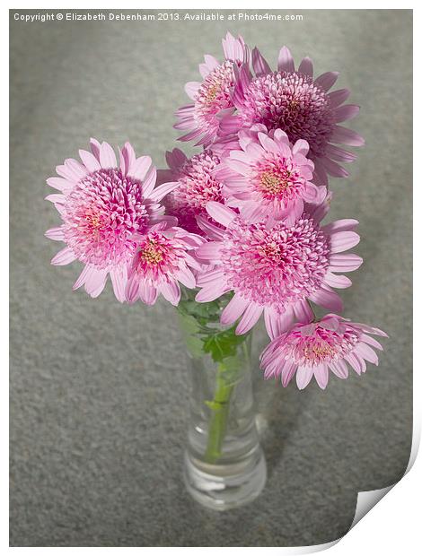 Chrysanthemum Beauty Print by Elizabeth Debenham