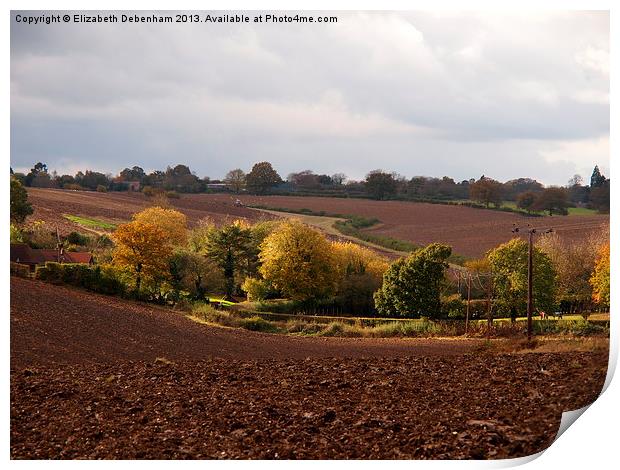 Ploughed Fields in Autumn Print by Elizabeth Debenham