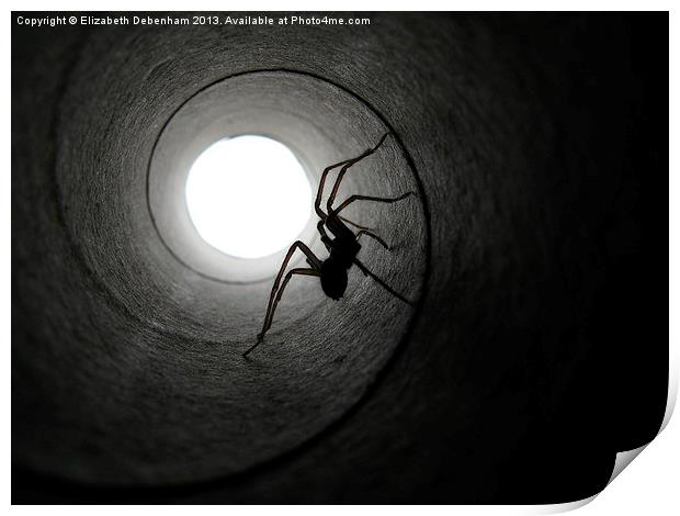 Spider in a Tunnel Print by Elizabeth Debenham