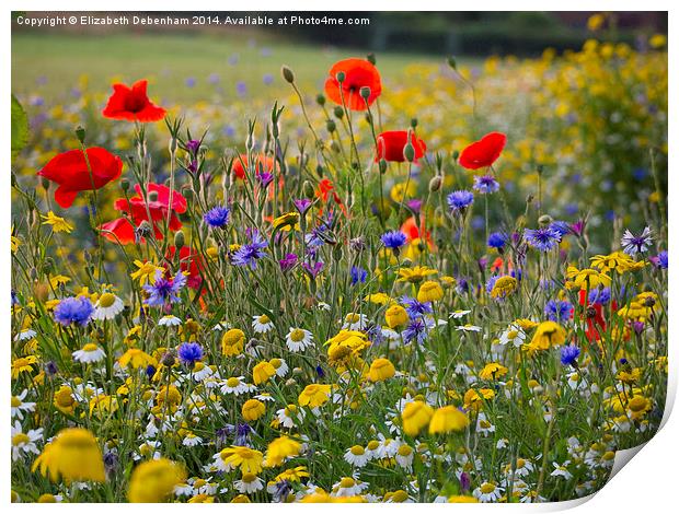 Wild flowers with red poppies, blue cornflowers Print by Elizabeth Debenham