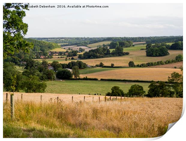 Stonor Landscape, Oxfordshire Print by Elizabeth Debenham