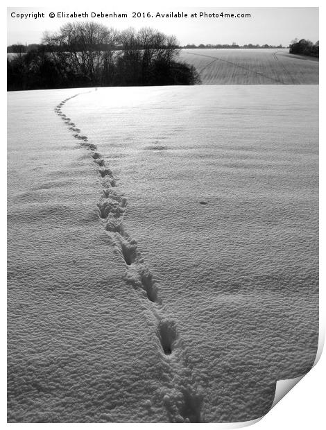 Footprints in the Snow Print by Elizabeth Debenham