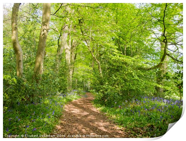 Ethereal Woodland Glade Print by Elizabeth Debenham