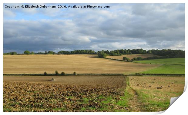 Ploughing in the patchwork Print by Elizabeth Debenham