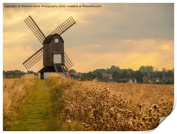 Pitstone Windmill Print by Elizabeth Debenham