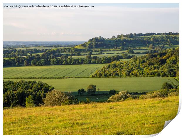 View from Watlington Hill in June Print by Elizabeth Debenham