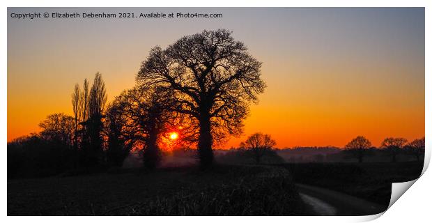 Winter Sunset through Oak Trees Print by Elizabeth Debenham