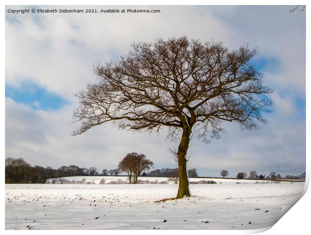 Lone Oak tree in Snow Print by Elizabeth Debenham