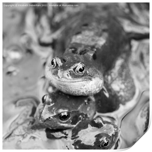 Croaking Frog Print by Elizabeth Debenham