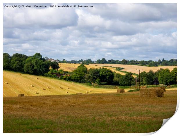 Fields After Harvest Print by Elizabeth Debenham
