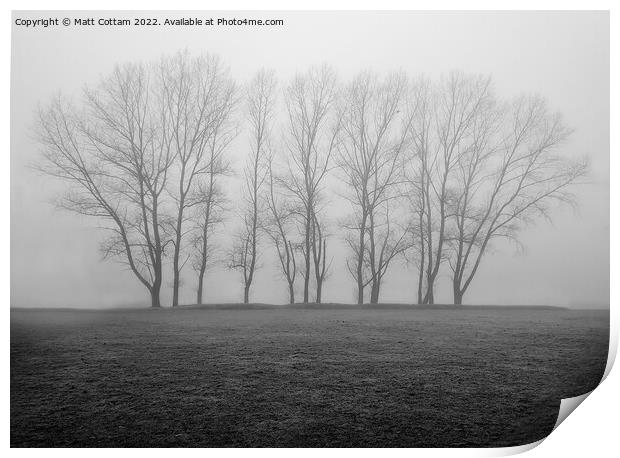 Trees in the mist Print by Matt Cottam