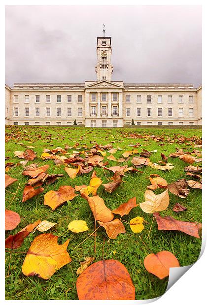 Autumn at the University Print by Matt Cottam