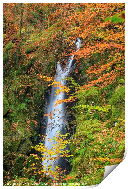 Stock Ghyll Force Waterfall Lake District in Autum Print by Chris Warren