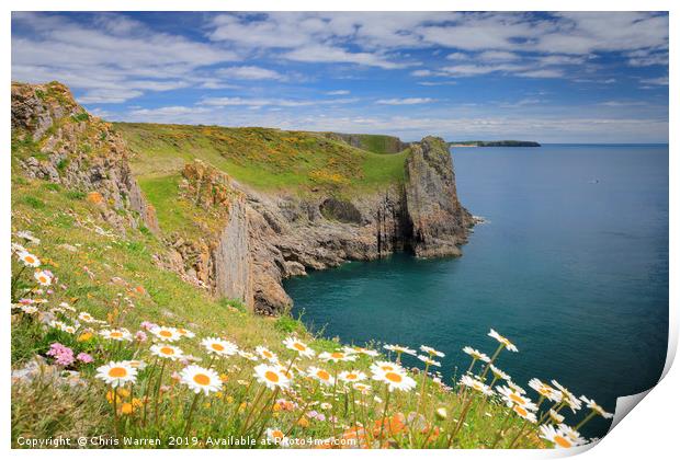 Spring flowers at Lydstep headland near Tenby  Print by Chris Warren