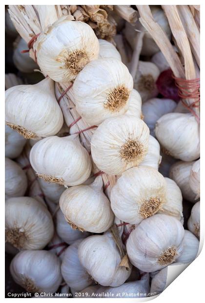 A string of tied fresh garlic Print by Chris Warren